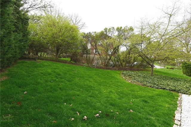 view of yard