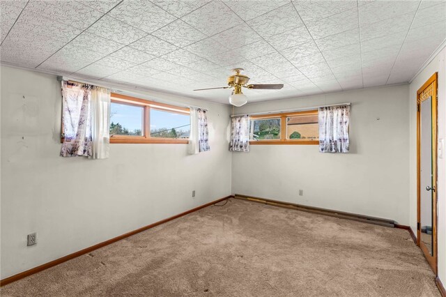 438 Canyon Dr, Canonsburg, PA 15317 - photo 20