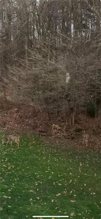 103 Timblin, Clay Twp, PA 16001 - view of local wilderness