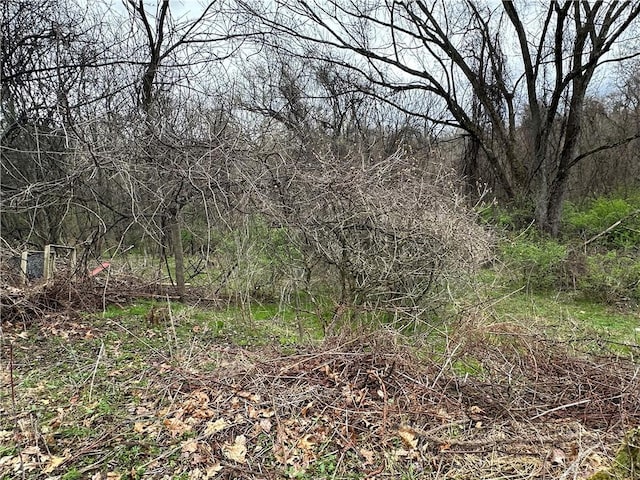 3950 Dunnett Ln, Murrysville, PA 15668 - view of landscape