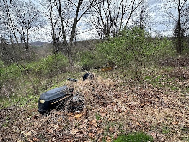 3950 Dunnett Ln, Murrysville, PA 15668 - view of yard