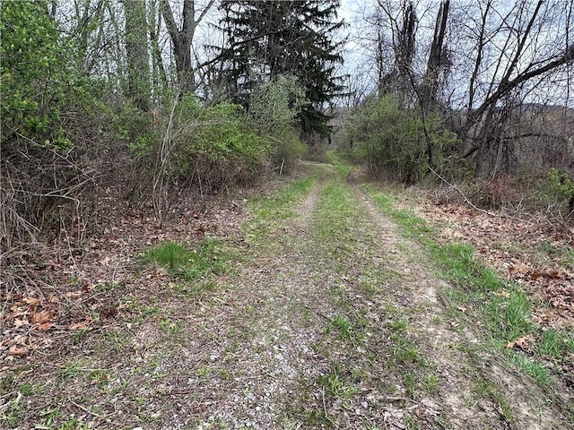 3950 Dunnett Ln, Murrysville, PA 15668 - view of street