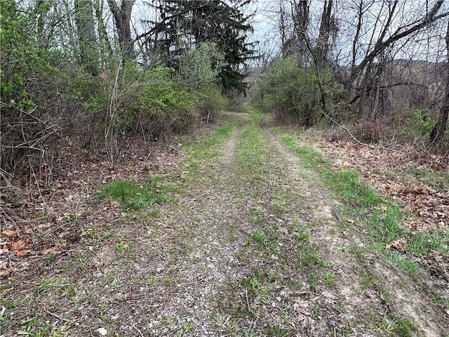 3950 Dunnett Ln, Murrysville, PA 15668 - view of road with a wooded view