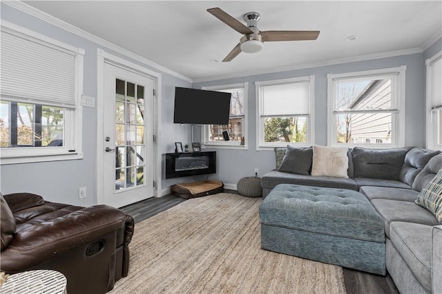 living room featuring ornamental molding, a ceiling fan, and wood finished floors