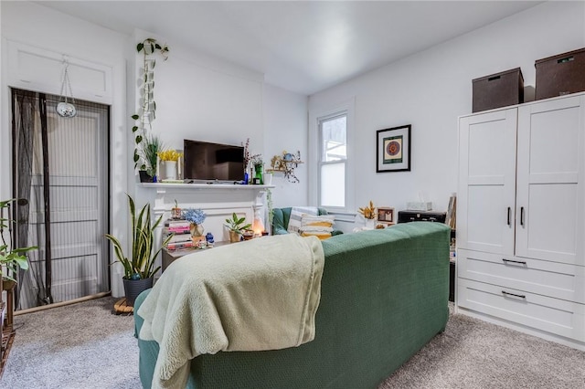 1415 Lager St, Troy Hill, PA 15212 - living room with carpet floors