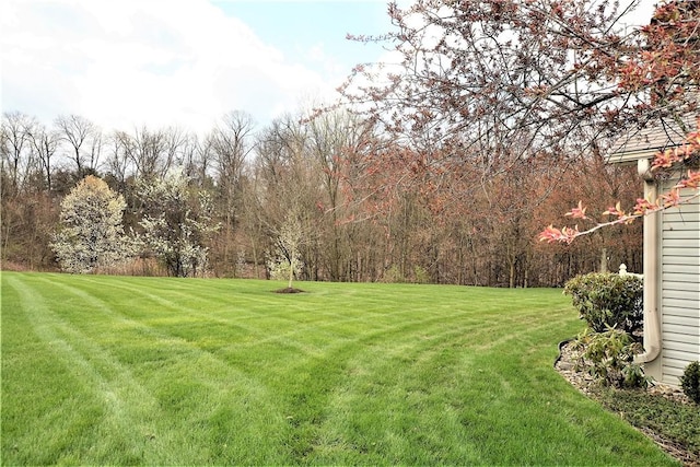 513 Madison Blvd, New Sewickley Twp, PA 15042 - view of yard