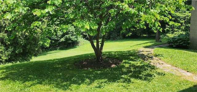 268 Coraopolis Rd, Robinson Twp Nwa, PA 15108 - view of green lawn