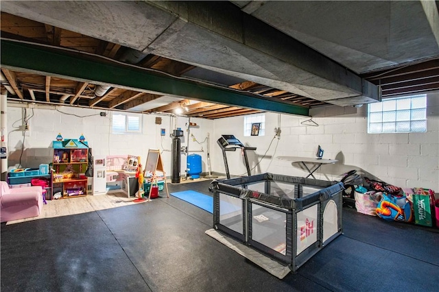429 Big Knob Rd, New Sewickley Twp, PA 15074 - below grade area with concrete block wall