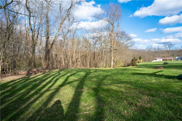 429 Big Knob Rd, New Sewickley Twp, PA 15074 - view of yard