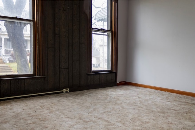 empty room with baseboards, plenty of natural light, and carpet