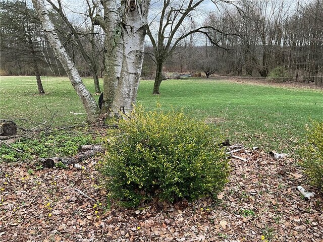 2612 Graceland Rd, Neshannock Twp, PA 16105 - photo 4