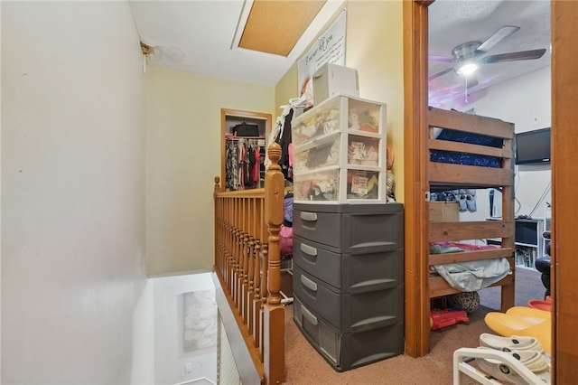bedroom with carpet