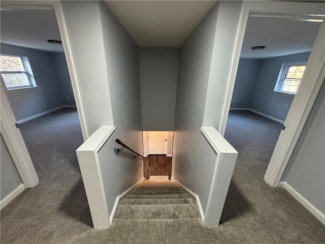stairs with a healthy amount of sunlight, baseboards, and carpet