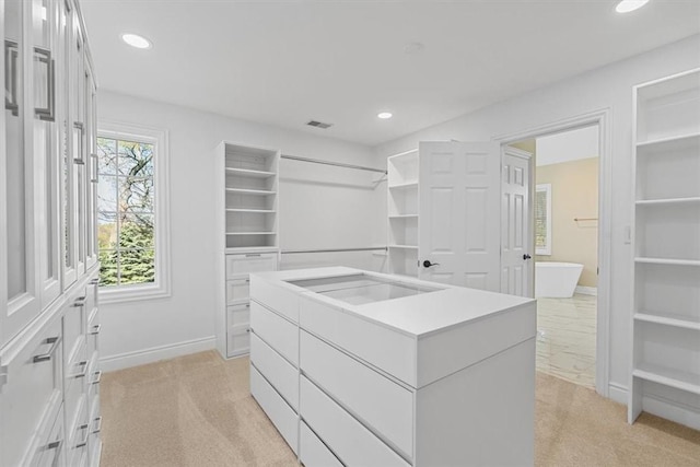 spacious closet featuring visible vents, light carpet, and a sink