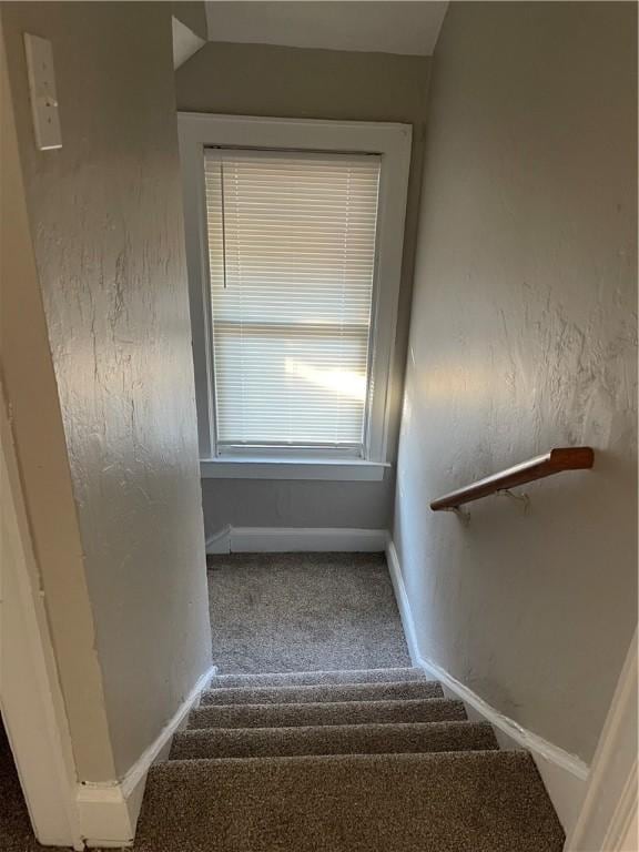 stairway featuring baseboards and carpet flooring