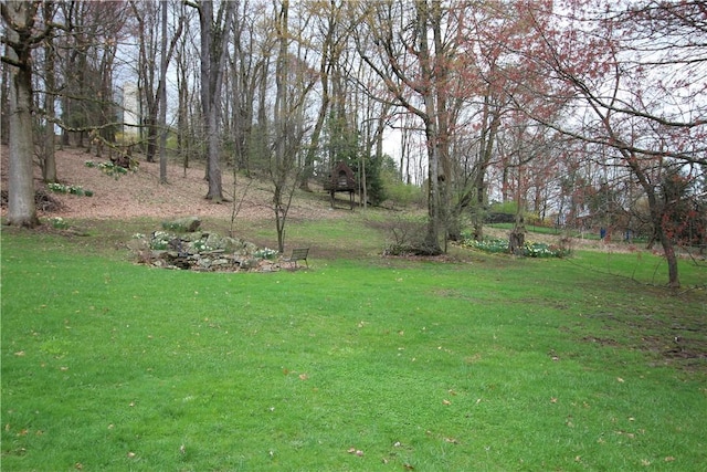 3116 Mcclellan Dr, Unity Twp, PA 15601 - view of grassy yard
