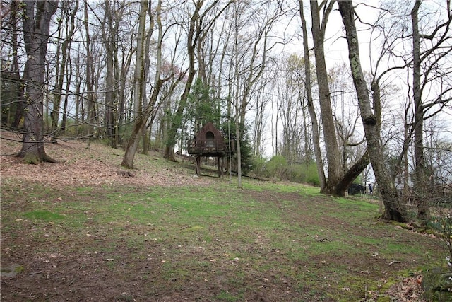 3116 Mcclellan Dr, Unity Twp, PA 15601 - view of yard
