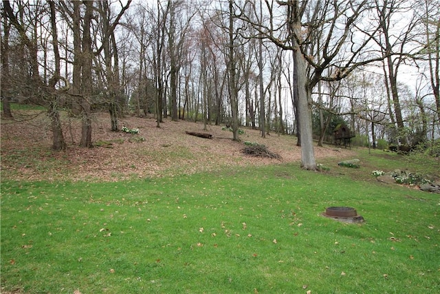 3116 Mcclellan Dr, Unity Twp, PA 15601 - view of green lawn