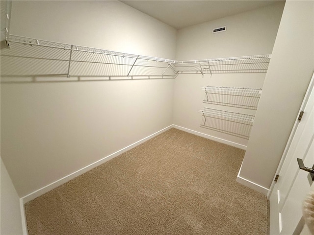 406 Barons Ct, Peters Twp, PA 15367 - walk in closet with carpet flooring