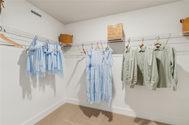 406 Barons Ct, Peters Twp, PA 15367 - walk in closet with carpet flooring