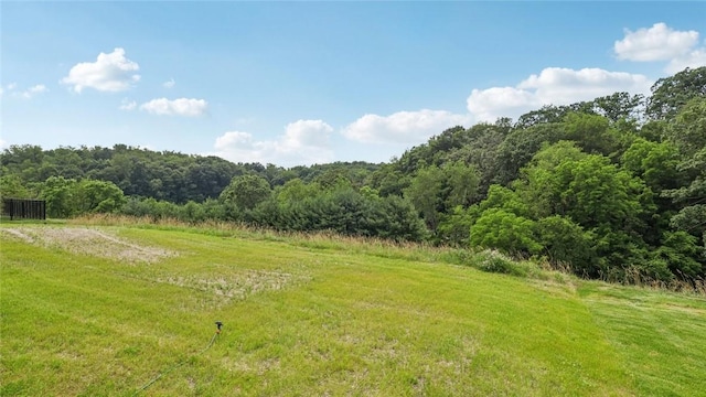 406 Barons Ct, Peters Twp, PA 15367 - view of yard featuring a wooded view