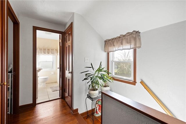 hall featuring dark wood-style flooring, baseboards, and vaulted ceiling