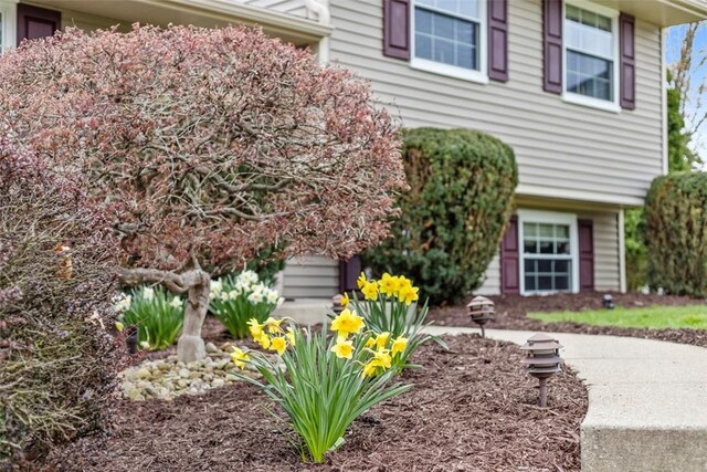 123 Summit Ridge Dr, South Fayette, PA 15017 - view of front of house