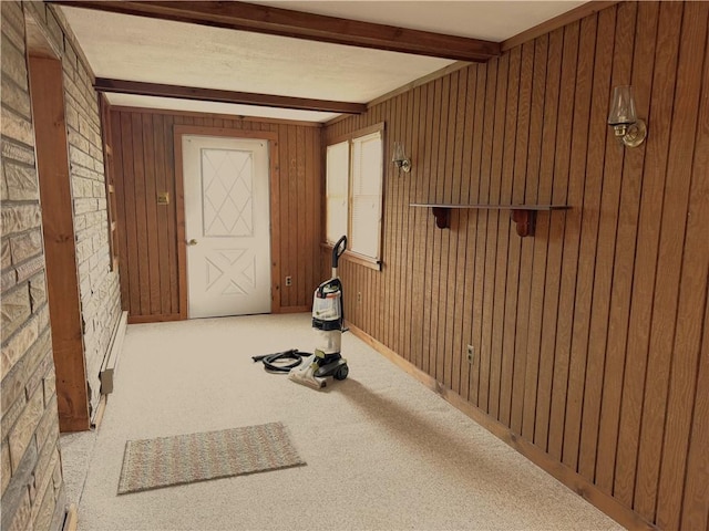 exercise area featuring wooden walls and carpet floors