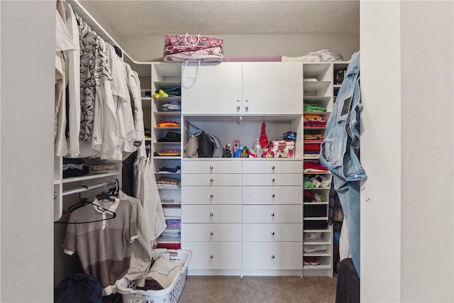 423 Labrador Ln, Jefferson Hills, PA 15025 - view of spacious closet