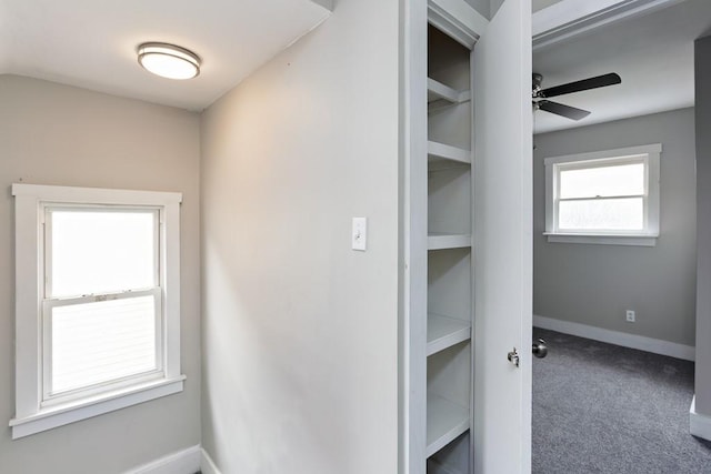 2017 Leishman, Arnold, PA 15068 - view of closet