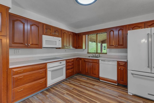 kitchen with a sink, light countertops, white appliances, brown cabinetry, and wood finished floors