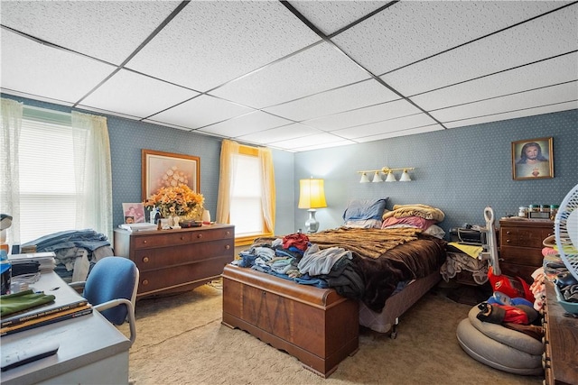 16 Fishpot Rd, Centerville, PA 15368 - bedroom featuring carpet flooring, multiple windows, and a paneled ceiling
