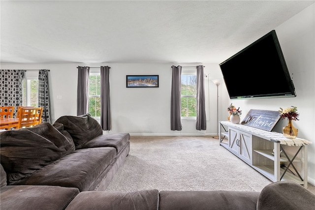 106 Morgan Dr, South Strabane, PA 15301 - living room featuring baseboards, plenty of natural light, and light colored carpet