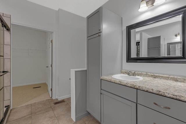 bathroom with vanity and a walk in closet