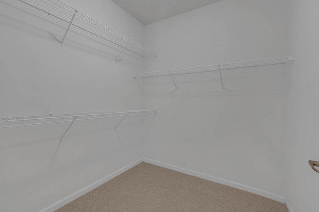 walk in closet with carpet