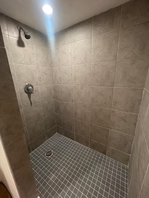 6605 Woodwell St, Squirrel Hill, PA 15217 - full bath with tiled shower