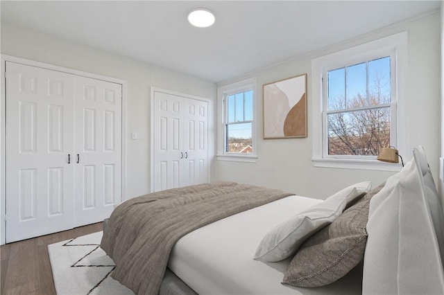bedroom with dark wood-type flooring, two closets, and multiple windows