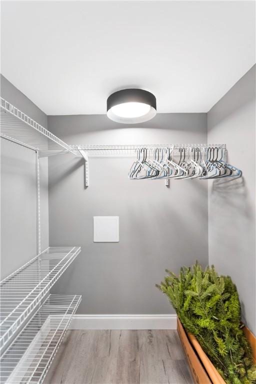 walk in closet featuring wood finished floors