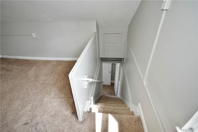 2331 Jane St, South Side, PA 15203 - stairs with carpet flooring and baseboards