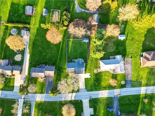 bird's eye view