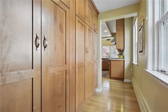 5818 Aylesboro Ave, Squirrel Hill, PA 15217 - hallway with light wood finished floors, baseboards, a sink, and recessed lighting