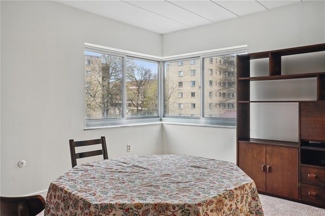 view of carpeted dining room