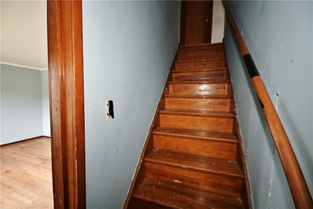 stairs featuring wood finished floors