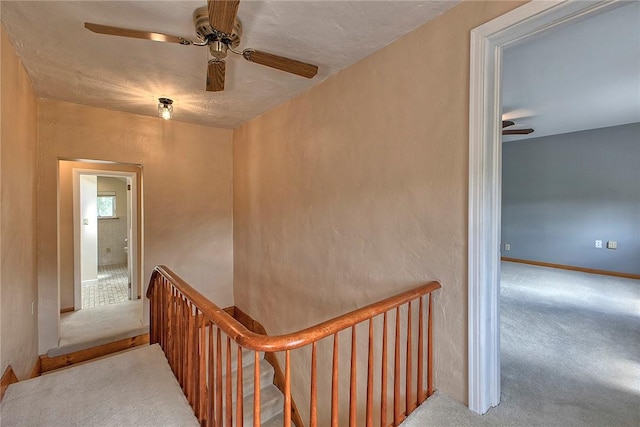 staircase featuring a ceiling fan and carpet flooring