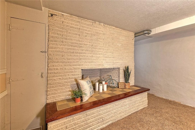 interior details with carpet and a textured ceiling