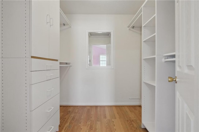 827 Brookfield Dr, Seven Fields Boro, PA 16046 - walk in closet featuring light wood-style floors