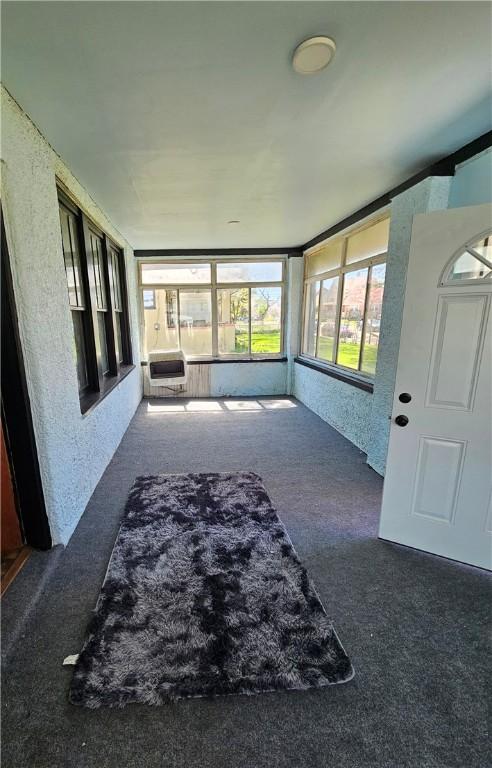 sunroom / solarium with carpet flooring