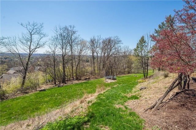172 Bluestone Dr, Bethel Park, PA 15102 - view of yard