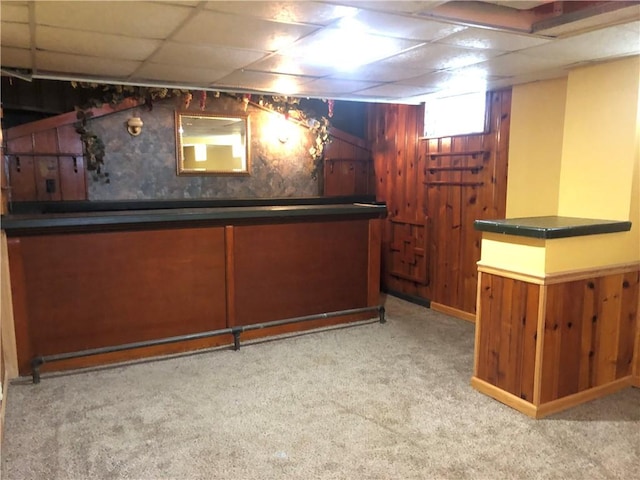 159 Oakville Rd, Chippewa Twp, PA 15010 - indoor dry bar with carpet, a drop ceiling, and wood walls