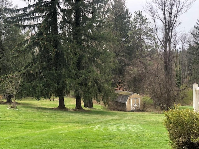 159 Oakville Rd, Chippewa Twp, PA 15010 - view of green lawn